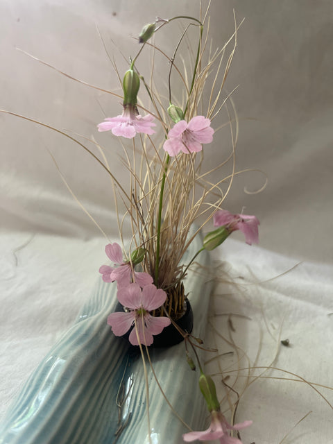 Ikebana plate